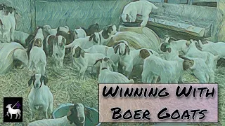 Raising Champion Boer Goats:  Larry Lorenz Interview