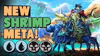 💀 HOW A SHRIMP CHANGED THE WHOLE META 💧 | MTG Arena