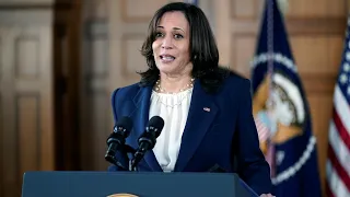 WATCH LIVE: Chicago Mayor Lori Lightfoot speaks after VP Kamala Harris visit