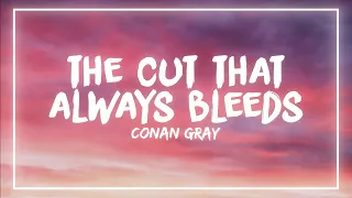 Conan Gray - The Cut That Always Bleeds (Lyrics)