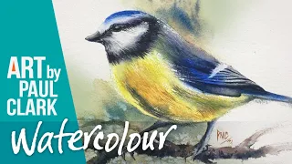 How to Paint a Blue Tit in Watercolour - Step-by-step