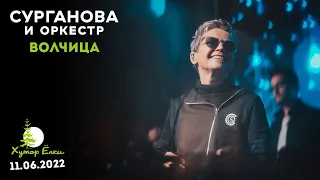 Волчица - Сурганова и Оркестр (Хутор Ёлки, 11.06.2022)