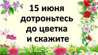 15 июня дотроньтесь до цветка и скажите. Убирает все проблемы и печали навсегда