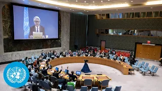 Gaza: Movement Restrictions Endanger Humanitarian Work | United Nations Security Council Briefing