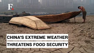 China's Extreme Weather Patterns Impact Animals and Crops, Threaten Food Security