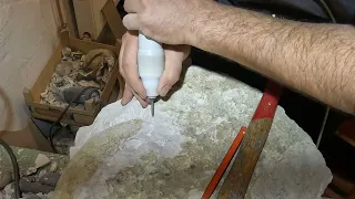 Disaster Ammonite Progeronia limestone jurassic fossil preparation Part 1