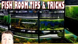 Still Wanting to Start a Fish Room? More Tips and Tricks you Have to Know!