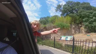 VIDEO: Take a ride through the drive-thru zoo in San Antonio