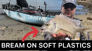Bream on Soft Plastics || Middle Harbour KAYAK FISHING