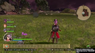 DRAGON QUEST HEROES II - Where to find and farm Waveweed