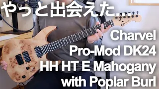 【最高すぎる】Charvel Pro-Mod DK24 HH HT E Mahogany with Poplar Burl (Desert Sand)を開封してレビュー【シャーベルのエレキギター】