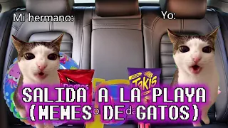 🏖️ Salida a la playa (versión memes de gatos) #memes #gatomeme #video #gatos #humor