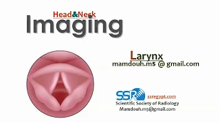 13 Larynx Imaging - prof.Mamdouh Mahfouz (2019 edition)