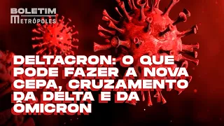 Deltacron: o que pode fazer a nova cepa, cruzamento da Delta e da Ômicron | BOLETIM METRÓPOLES