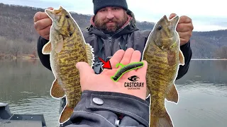 HAMMERING Winter Smallmouth Bass in 38 Degree Water!!