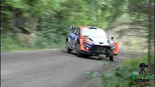WRC Secto Rally Finland 2023 | AMAZING FLAT OUT