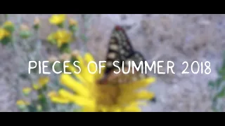 Pieces of Summer 2018