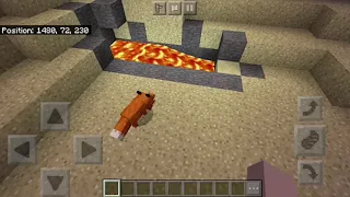 Fox jumps into lava Minecraft