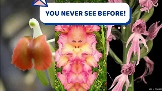 Incredibly Rare Flowers You Have Probably Never Seen