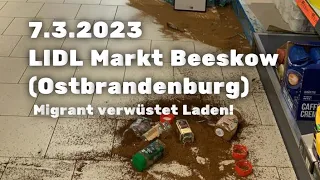 🟥7.3.2023 Lidl Markt Beeskow (Ostbrandenburg) wird verwüstet.🟥