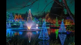 VanDusen Festival of Lights 2018