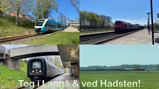 Tog i Langå & ved Hadsten | Trains in Langaa & at Hadsten (Godstoget, Tyfon fra MZ, el-horn fra MF!)