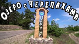 Воронеж/Природа России.Красноухая черепаха и болотная черепаха/Черепашье озеро #путешествиенамашине