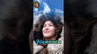 Эскимосы. Кто они и где живут? #shorts_video #shortsfeed #shortsyoutube