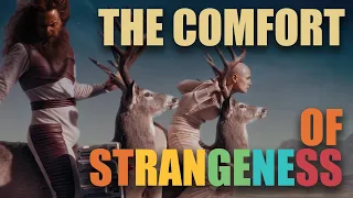 Two Oceans  -  The Comfort of Strangeness Trailer