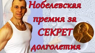 Аутофагия. НОБЕЛЕВСКАЯ ПРЕМИЯ за СЕКРЕТ ДОЛГОЛЕТИЯ!