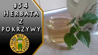 #54 Herbata z pokrzywy