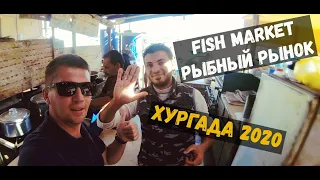 Рыбный Рынок Хургады. Покупаем Креветки и Кальмар / FISH MARKET. HURGHADA [4K]