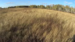 плотно сидит утка промахи по утке без комментариев