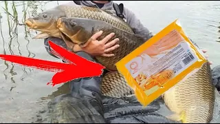 Так Вот от Чего Карась Дуреет! Подводная съемка! Реакция рыбы на хлеб с мёдом!