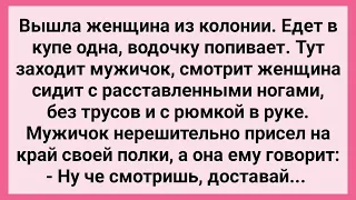 Женщина из Колонии и Мужичок в Купе! Сборник Свежих Смешных Жизненных Анекдотов!