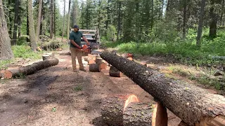 Cutting Firewood 🌲🪵🔥💨Big Saw vs Little saw!?