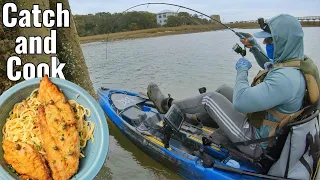 A Great Day of Winter Fishing Down South (Catch & Cook)