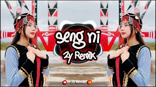 Seng Ni(Remix) // Tangpaw Ah Tu ( Tara ) // Zy Remix