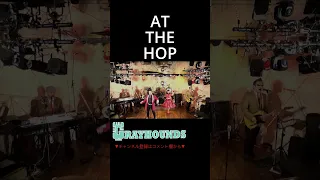 AT THE HOP／Danny and the Juniors／GRAYHOUNDS COVER #shorts