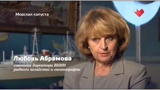 Доверяй, но проверяй Как выбрать морскую капусту