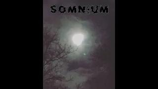 Somnium - Love Buzz (Shocking Blue Cover)