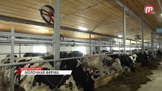 В Бурятии состоялось торжественное открытие молочно-товарной фермы
