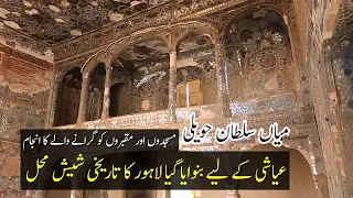 Historical Haveli Mian Sultan Sheesh Mahal | Mansion Andaroon Lahore Dehli Gate | Gali Surjan Singh