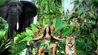 Katy Perry: Roar - Perkins Edition