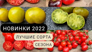 НОВИНКИ СЕЗОНА 2022❗ЭТИ СОРТА БУДУ САЖАТЬ ЕЩЁ. ДЕГУСТАЦИЯ ТОМАТОВ📍