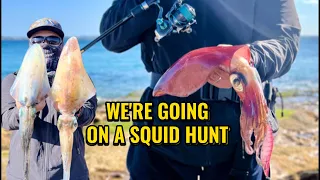 We are going on a squid hunt