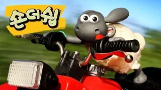 대추격 - 숀 더쉽 [Shaun the Sheep Korea | Full Episode]