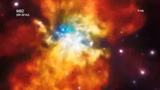 A Tour of M82 SN2014J