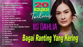 20 Koleksi Terlaris Iis Dahlia (Spesial Dangdut Klasik)