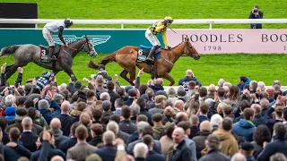 STATE MAN delivers in 2024 Unibet Champion Hurdle